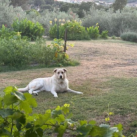 Casa Rural La Recuera Montánchez Zewnętrze zdjęcie
