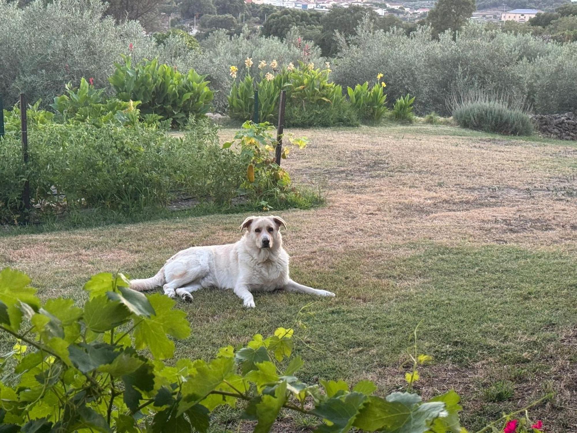 Casa Rural La Recuera Montánchez Zewnętrze zdjęcie