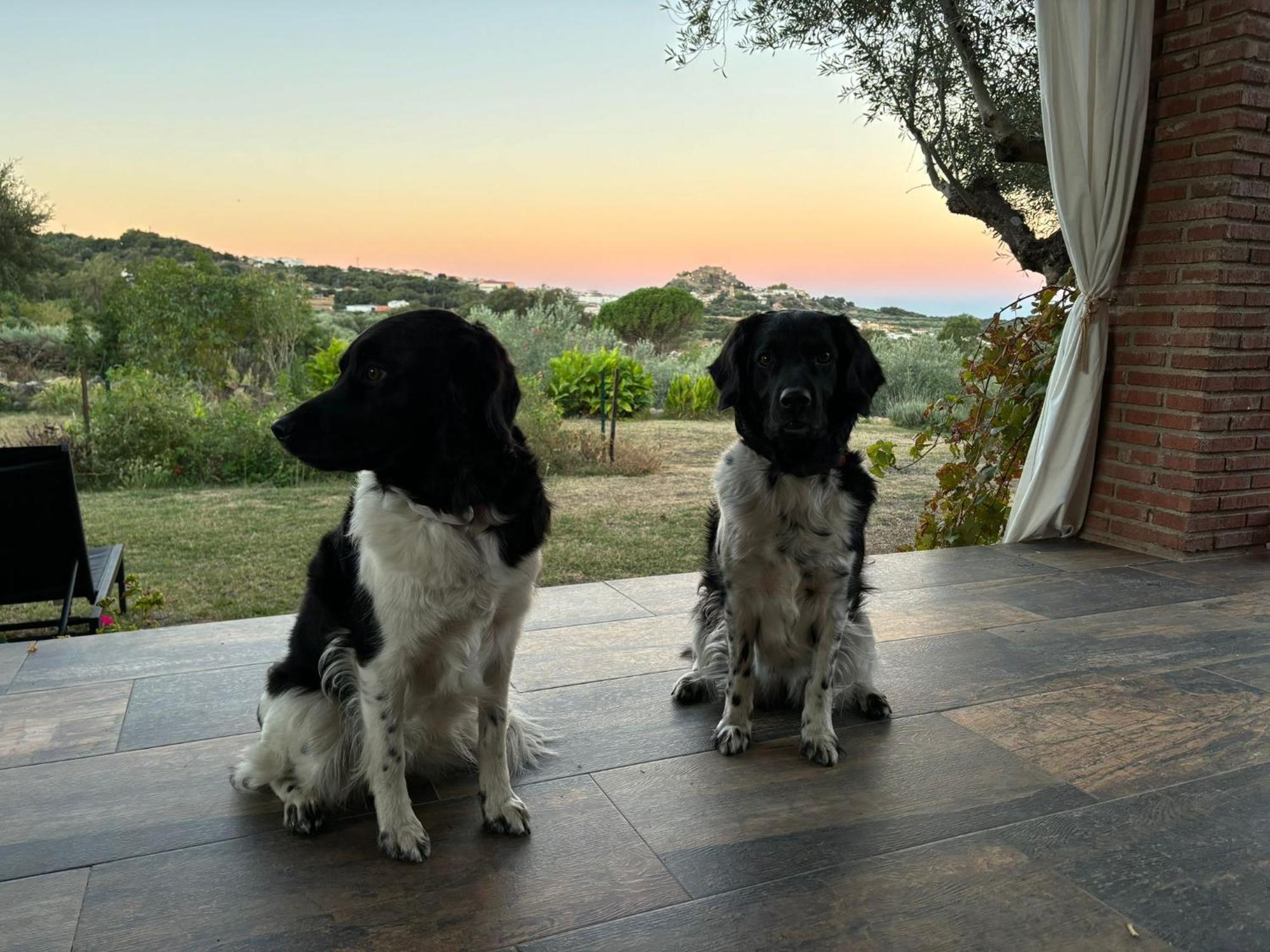 Casa Rural La Recuera Montánchez Zewnętrze zdjęcie